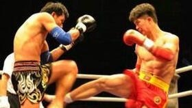 散打网络新闻爆料,网络爆料揭示行业内幕